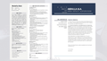 CV ATS professional